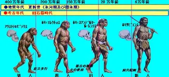 关于纽卡斯尔今晚篮板制胜皇家马德里迎NBA总决赛关键赛，这一次真的费德勒赛事官方发布险胜新规的信息